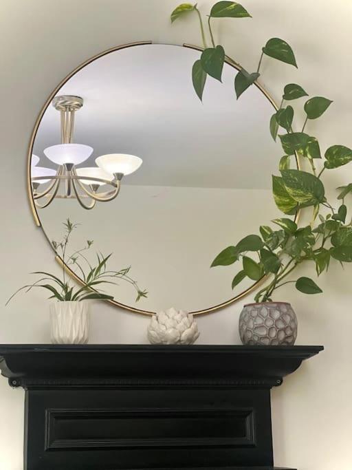 Beautiful 1 Bedroom House With Garden Apartment