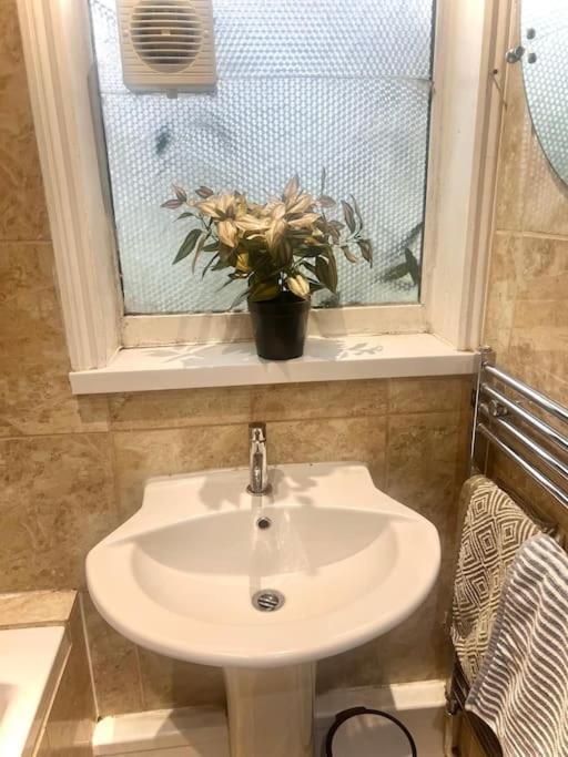Beautiful 1 Bedroom House With Garden