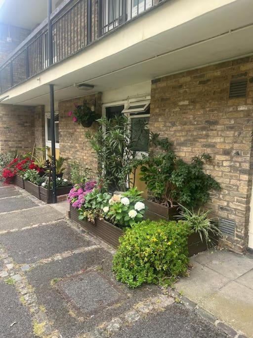 Beautiful 1 Bedroom House With Garden Appartamento Londra